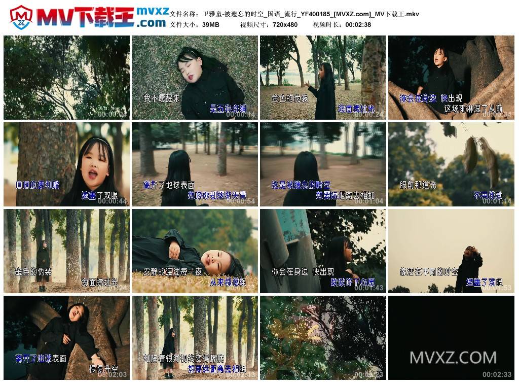 卫雅童-被遗忘的时空_国语_流行_YF400185